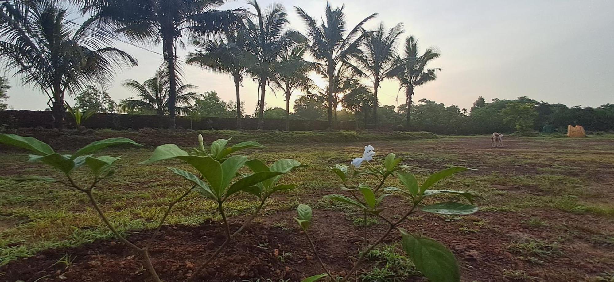 Arpita Farmstay Malvan Exterior photo